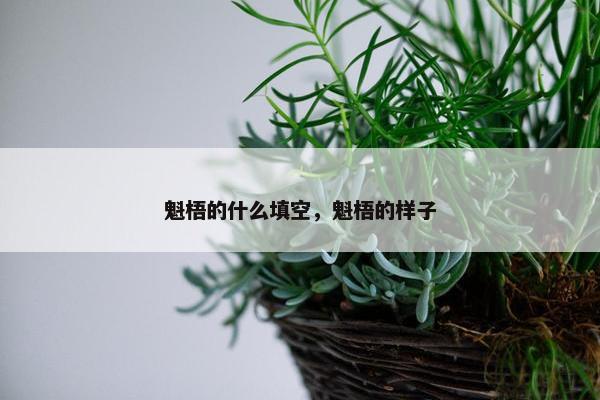 魁梧的什么填空，魁梧的样子