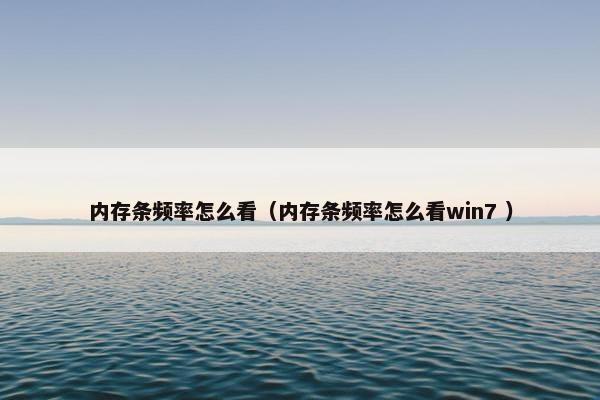 内存条频率怎么看（内存条频率怎么看win7 ）