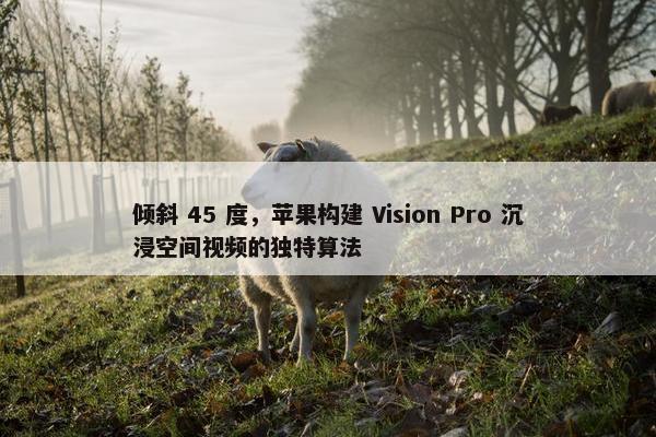 倾斜 45 度，苹果构建 Vision Pro 沉浸空间视频的独特算法