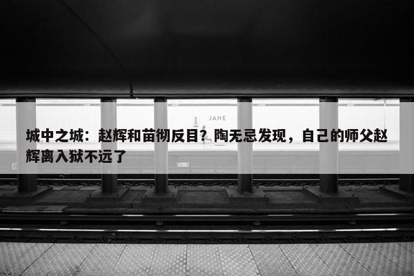 城中之城：赵辉和苗彻反目？陶无忌发现，自己的师父赵辉离入狱不远了