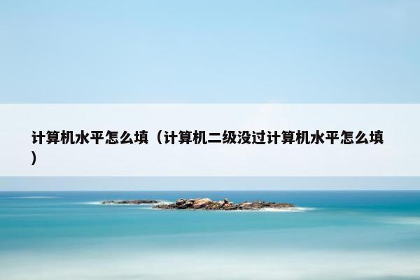 计算机水平怎么填（计算机二级没过计算机水平怎么填 ）