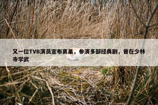 又一位TVB演员宣布离巢，参演多部经典剧，曾在少林寺学武