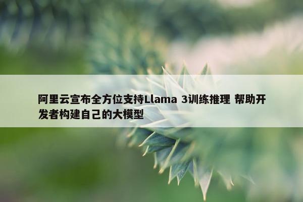 阿里云宣布全方位支持Llama 3训练推理 帮助开发者构建自己的大模型