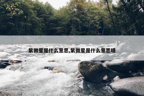 紫微星是什么意思,紫微星是什么意思哦