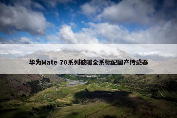 华为Mate 70系列被曝全系标配国产传感器