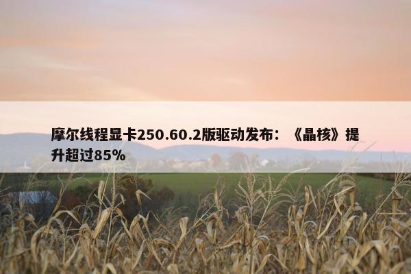 摩尔线程显卡250.60.2版驱动发布：《晶核》提升超过85％