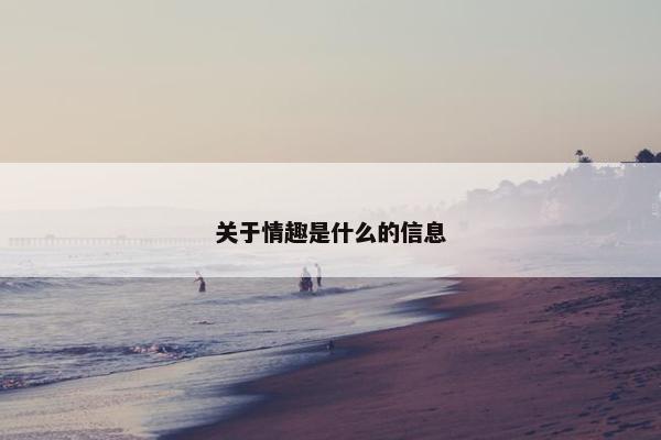 关于情趣是什么的信息