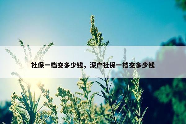 社保一档交多少钱，深户社保一档交多少钱