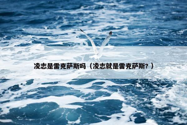 凌志是雷克萨斯吗（凌志就是雷克萨斯? ）