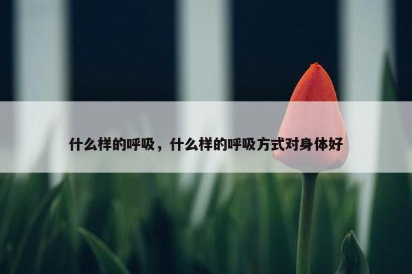 什么样的呼吸，什么样的呼吸方式对身体好