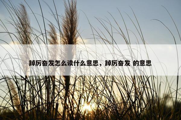 踔厉奋发怎么读什么意思，踔厉奋发 的意思