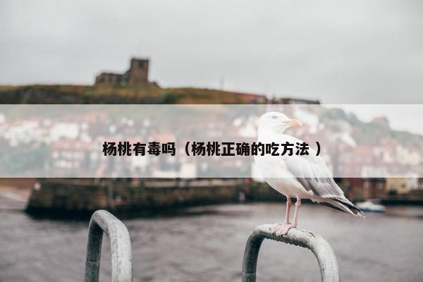 杨桃有毒吗（杨桃正确的吃方法 ）