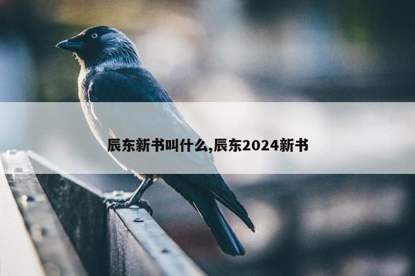 辰东新书叫什么,辰东2024新书