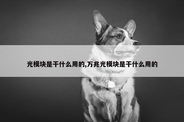 光模块是干什么用的,万兆光模块是干什么用的