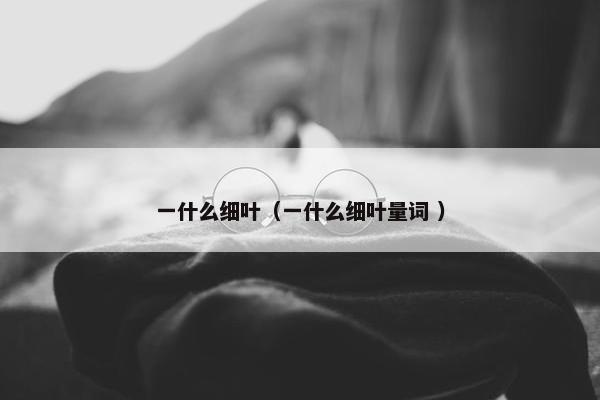 一什么细叶（一什么细叶量词 ）