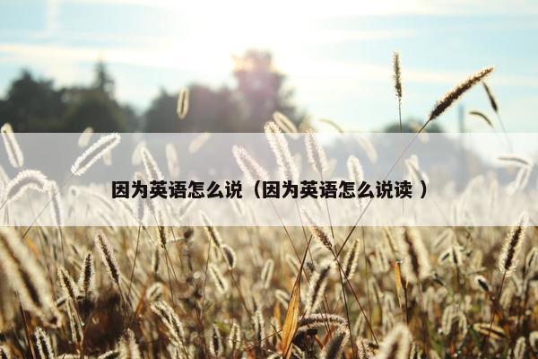 因为英语怎么说（因为英语怎么说读 ）