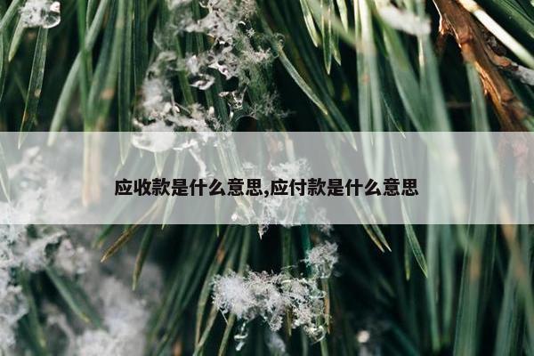 应收款是什么意思,应付款是什么意思