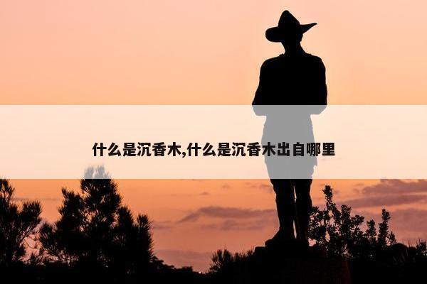 什么是沉香木,什么是沉香木出自哪里