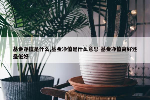 基金净值是什么,基金净值是什么意思 基金净值高好还是低好