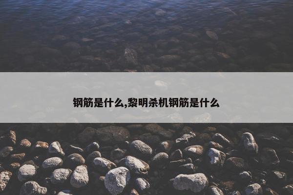 钢筋是什么,黎明杀机钢筋是什么