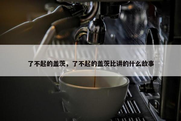 了不起的盖茨，了不起的盖茨比讲的什么故事