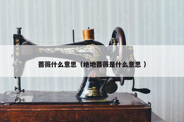 蔷薇什么意思（绝地蔷薇是什么意思 ）