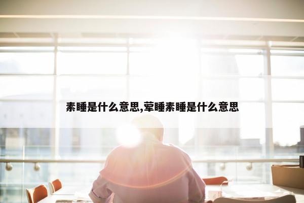 素睡是什么意思,荤睡素睡是什么意思