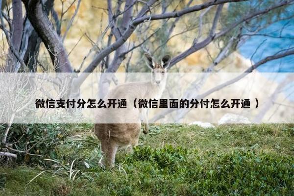 微信支付分怎么开通（微信里面的分付怎么开通 ）