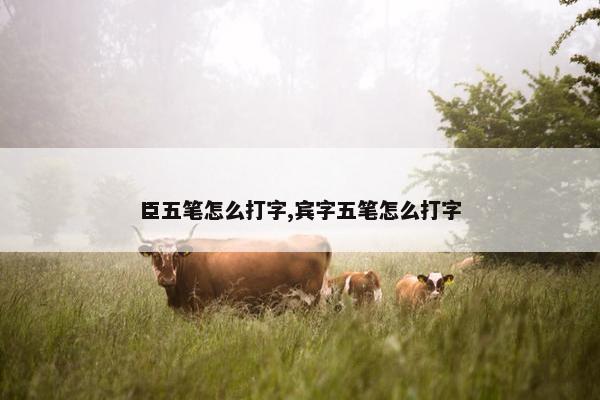 臣五笔怎么打字,宾字五笔怎么打字