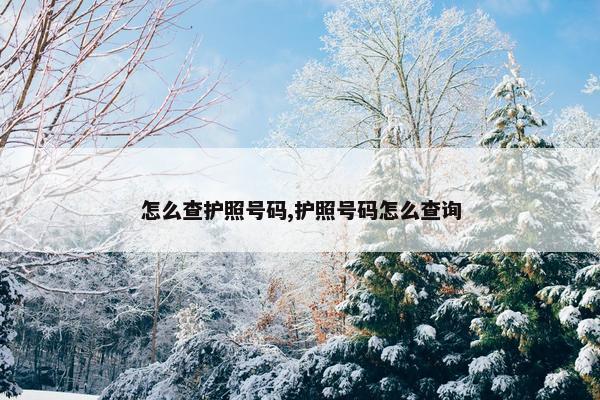 怎么查护照号码,护照号码怎么查询