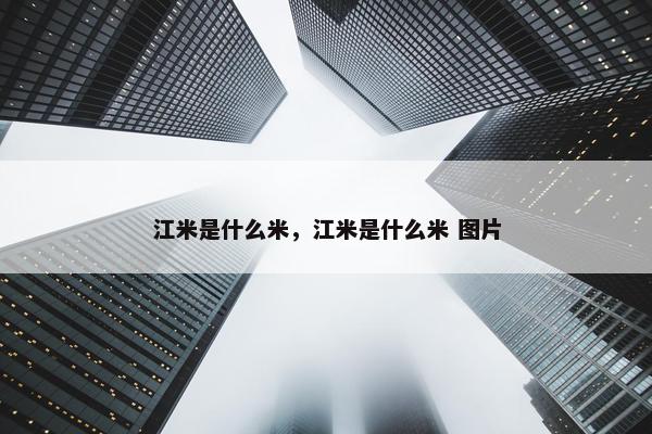 江米是什么米，江米是什么米 图片