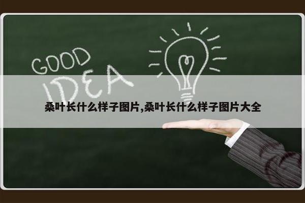 桑叶长什么样子图片,桑叶长什么样子图片大全