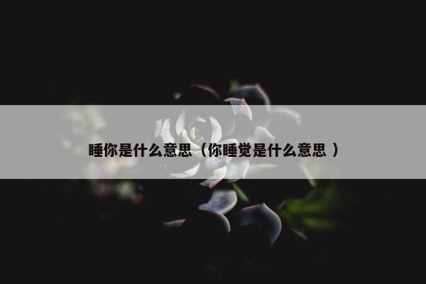 睡你是什么意思（你睡觉是什么意思 ）