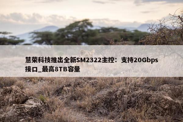 慧荣科技推出全新SM2322主控：支持20Gbps接口_最高8TB容量