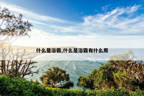 什么是浴霸,什么是浴霸有什么用