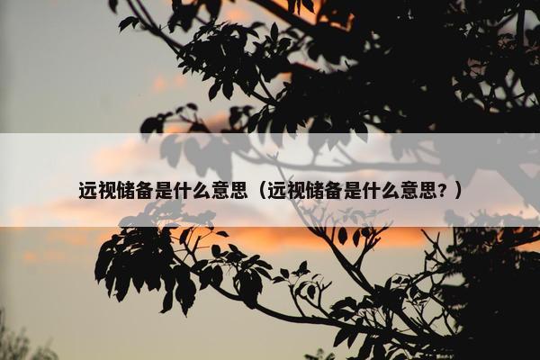 远视储备是什么意思（远视储备是什么意思? ）