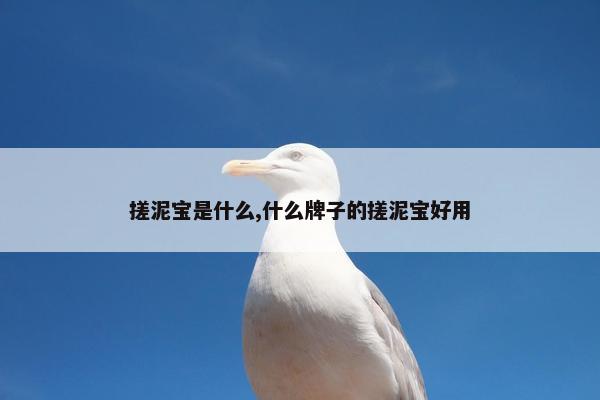 搓泥宝是什么,什么牌子的搓泥宝好用