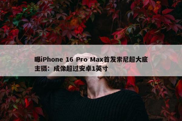 曝iPhone 16 Pro Max首发索尼超大底主摄：成像超过安卓1英寸