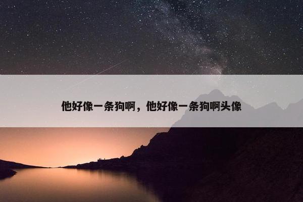 他好像一条狗啊，他好像一条狗啊头像