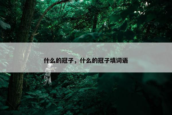 什么的冠子，什么的冠子填词语