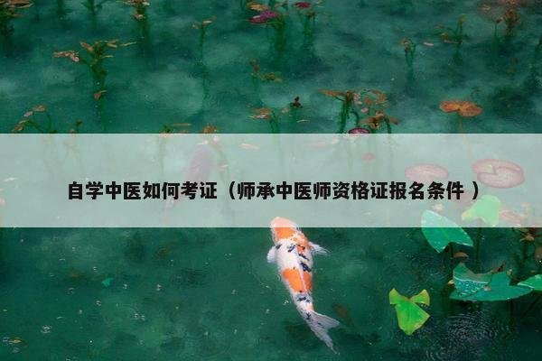 自学中医如何考证（师承中医师资格证报名条件 ）