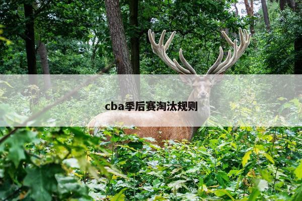 cba季后赛淘汰规则