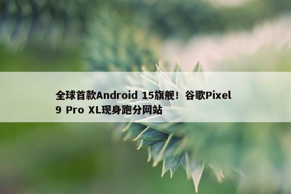 全球首款Android 15旗舰！谷歌Pixel 9 Pro XL现身跑分网站