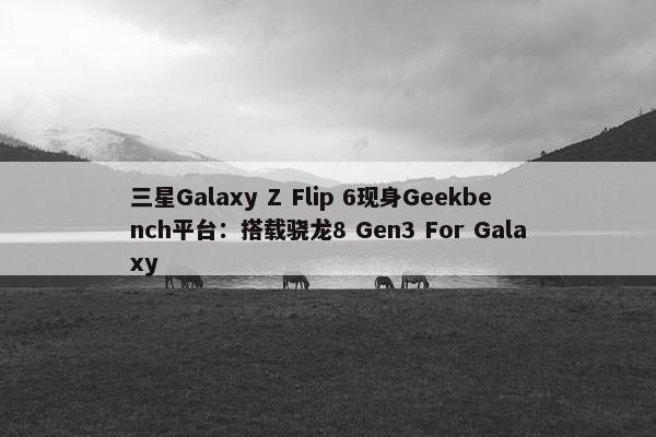 三星Galaxy Z Flip 6现身Geekbench平台：搭载骁龙8 Gen3 For Galaxy