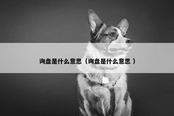 询盘是什么意思（询盘是什么意思 ）