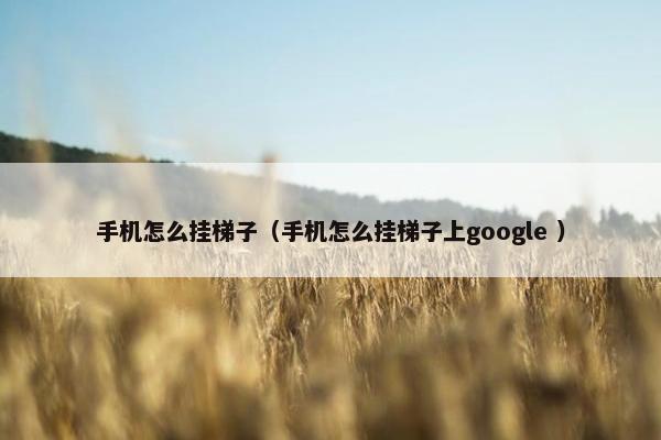 手机怎么挂梯子（手机怎么挂梯子上google ）