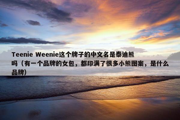Teenie Weenie这个牌子的中文名是泰迪熊吗（有一个品牌的女包，都印满了很多小熊图案，是什么品牌）