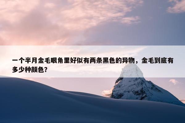 一个半月金毛眼角里好似有两条黑色的异物，金毛到底有多少种颜色？