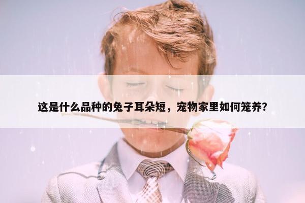 这是什么品种的兔子耳朵短，宠物家里如何笼养？