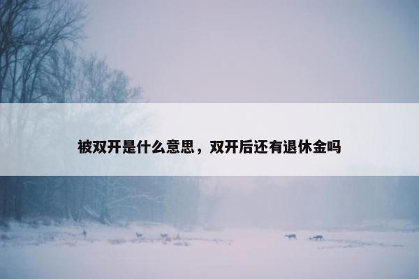 被双开是什么意思，双开后还有退休金吗